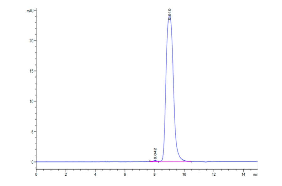 SEC-HPLC - Recombinant Human CEA Protein (C-terminal His Tag) (A330439) - Antibodies.com