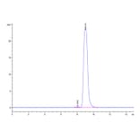 SEC-HPLC - Recombinant Human CEA Protein (C-terminal His Tag) (A330439) - Antibodies.com