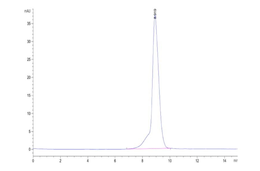 SEC-HPLC - Recombinant Human CEA Protein (C-terminal His Tag) (A330440) - Antibodies.com