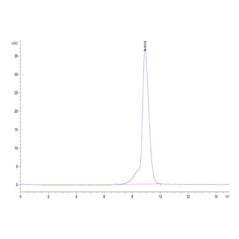 SEC-HPLC - Recombinant Human CEA Protein (C-terminal His Tag) (A330440) - Antibodies.com