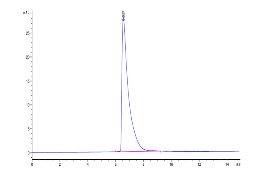 SEC-HPLC - Recombinant Human CEA Protein (C-terminal His Tag) (A330441) - Antibodies.com