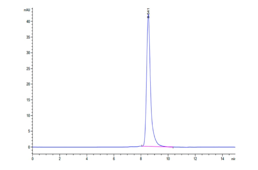 SEC-HPLC - Recombinant Human CEACAM3 Protein (C-terminal Human Fc Tag) (A330444) - Antibodies.com