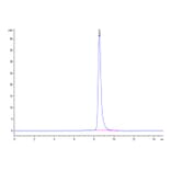 SEC-HPLC - Recombinant Human CEACAM3 Protein (C-terminal Human Fc Tag) (A330444) - Antibodies.com