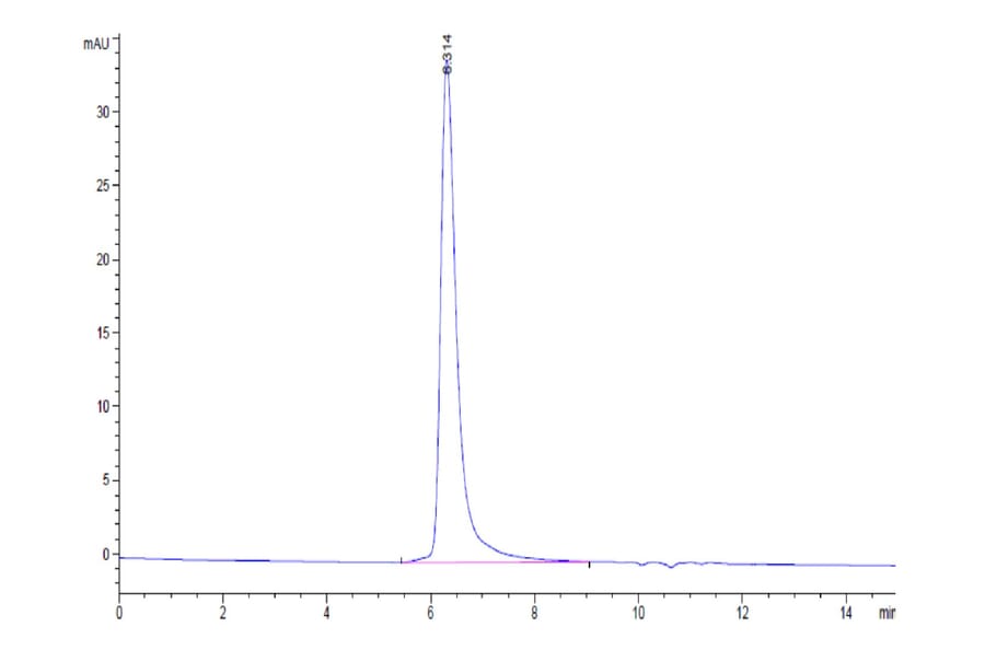 SEC-HPLC - Recombinant Human CEACAM6 Protein (Biotin) (C-terminal His and Avi Tag) (A330446) - Antibodies.com