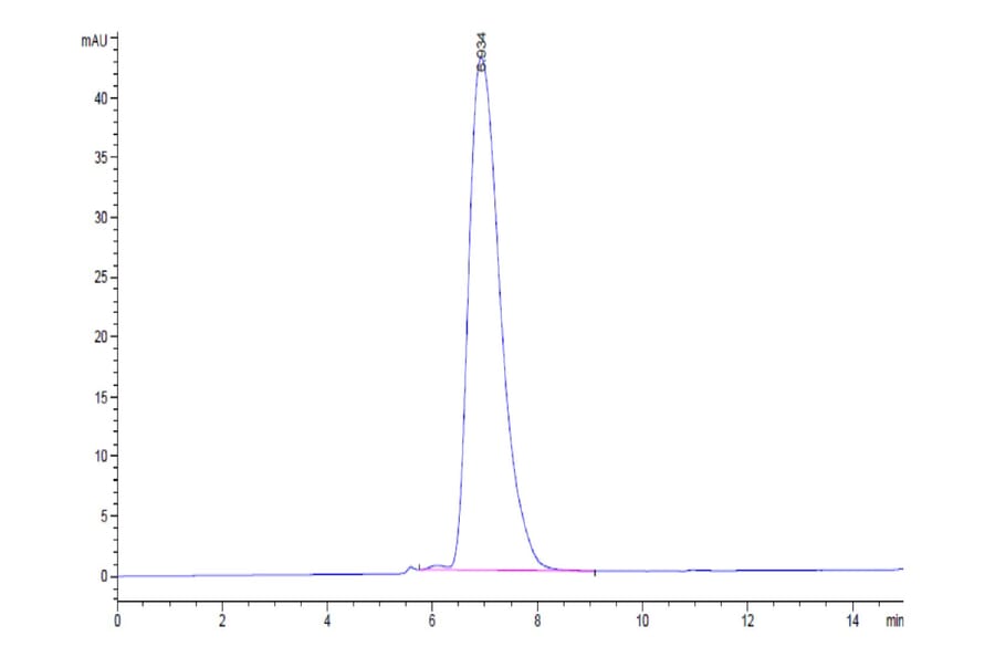 SEC-HPLC - Recombinant Human CEACAM6 Protein (C-terminal His and Avi Tag) (A330447) - Antibodies.com