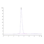 SEC-HPLC - Recombinant Human CEACAM6 Protein (C-terminal His and Avi Tag) (A330447) - Antibodies.com