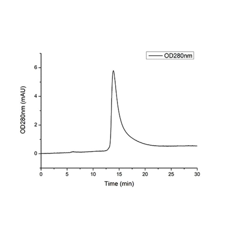 SEC-HPLC - Recombinant Human CFD Protein (C-terminal His Tag) (A330449) - Antibodies.com