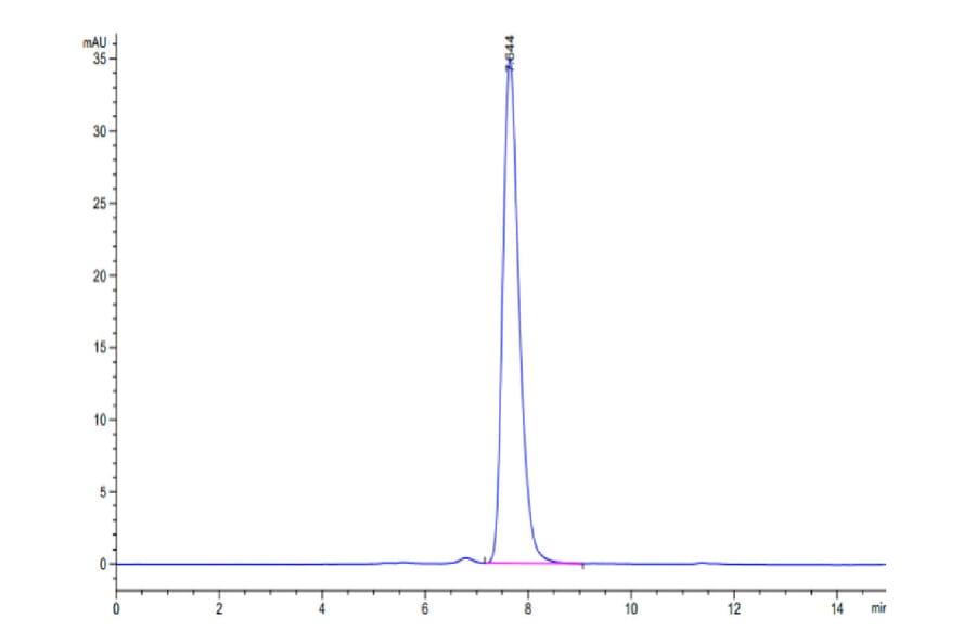 SEC-HPLC - Recombinant Human c-Kit Protein (Biotin) (C-terminal His and Avi Tag) (A330456) - Antibodies.com