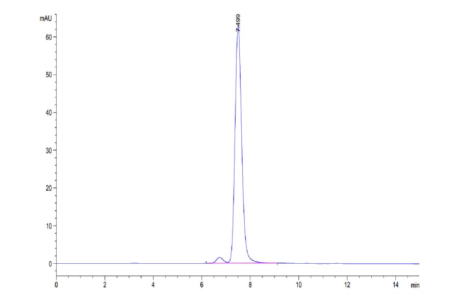 SEC-HPLC - Recombinant Human c-Kit Protein (C-terminal His Tag) (A330457) - Antibodies.com