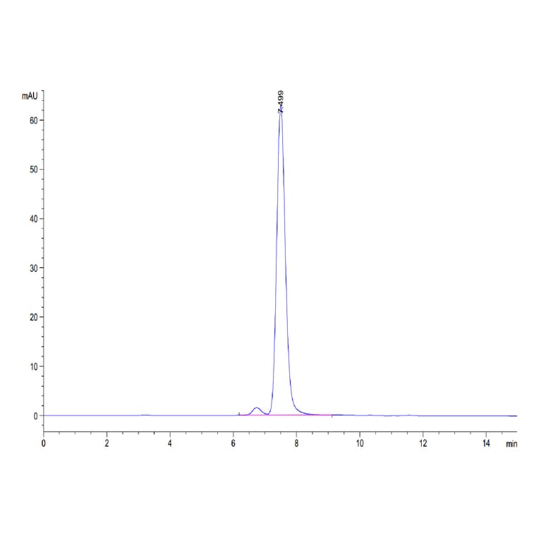 SEC-HPLC - Recombinant Human c-Kit Protein (C-terminal His Tag) (A330457) - Antibodies.com
