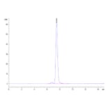 SEC-HPLC - Recombinant Human c-Kit Protein (C-terminal His Tag) (A330457) - Antibodies.com