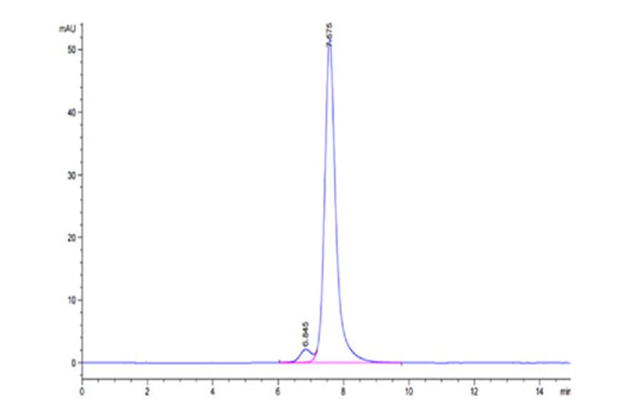 SEC-HPLC - Recombinant Human CLEC2D Protein (Biotin) (N-terminal Human Fc and Avi Tag) (A330460) - Antibodies.com