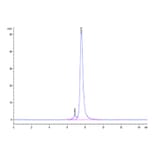 SEC-HPLC - Recombinant Human CLEC2D Protein (Biotin) (N-terminal Human Fc and Avi Tag) (A330460) - Antibodies.com