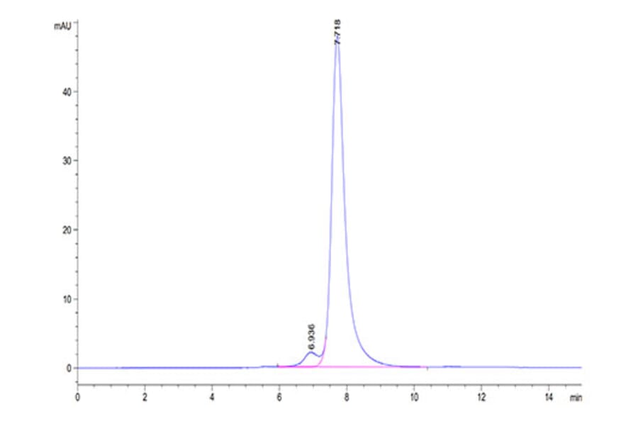 SEC-HPLC - Recombinant Human CLEC2D Protein (N-terminal Human Fc and Avi Tag) (A330461) - Antibodies.com