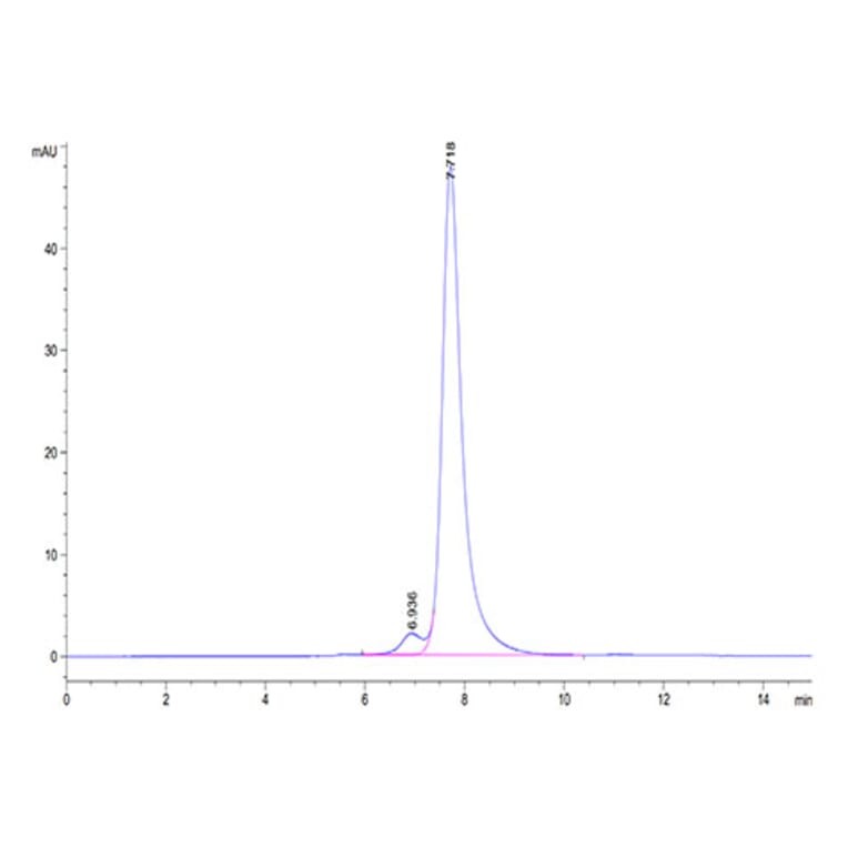 SEC-HPLC - Recombinant Human CLEC2D Protein (N-terminal Human Fc and Avi Tag) (A330461) - Antibodies.com