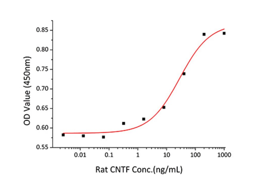 Proliferation Assay - Recombinant Rat CNTF Protein (C-terminal His Tag) (A330467) - Antibodies.com