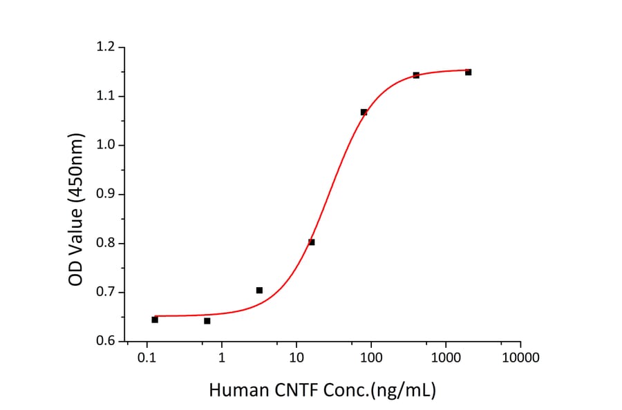 Proliferation Assay - Recombinant Human CNTF Protein (C-terminal His Tag) (A330468) - Antibodies.com
