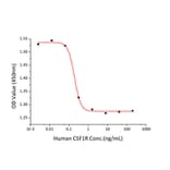 Cell Viability Assay - Recombinant Human CSF-1-R Protein (C-terminal His Tag) (A330485) - Antibodies.com