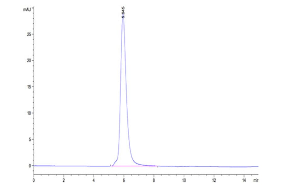 SEC-HPLC - Recombinant Human CSF-1-R Protein (Biotin) (C-terminal His and Avi Tag) (A330486) - Antibodies.com