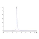SEC-HPLC - Recombinant Human CSF-1-R Protein (Biotin) (C-terminal His and Avi Tag) (A330486) - Antibodies.com
