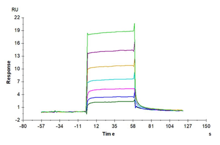 SPR Assay - Recombinant Human CSF-1-R Protein (Biotin) (C-terminal His and Avi Tag) (A330486) - Antibodies.com
