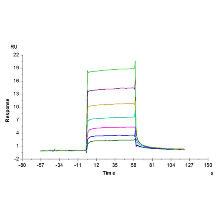 SPR Assay - Recombinant Human CSF-1-R Protein (Biotin) (C-terminal His and Avi Tag) (A330486) - Antibodies.com