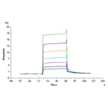 SPR Assay - Recombinant Human CSF-1-R Protein (Biotin) (C-terminal His and Avi Tag) (A330486) - Antibodies.com