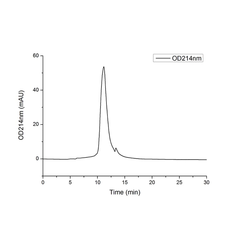 SEC-HPLC - Recombinant Human CTLA4 Protein (C-terminal His Tag) (A330491) - Antibodies.com