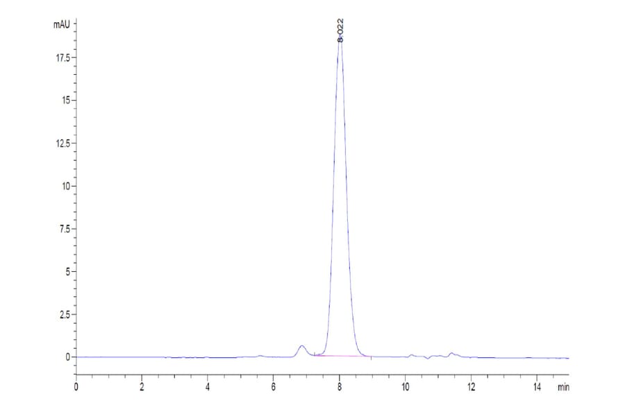 SEC-HPLC - Recombinant Human CTLA4 Protein (Biotin) (C-terminal His and Avi Tag) (A330492) - Antibodies.com