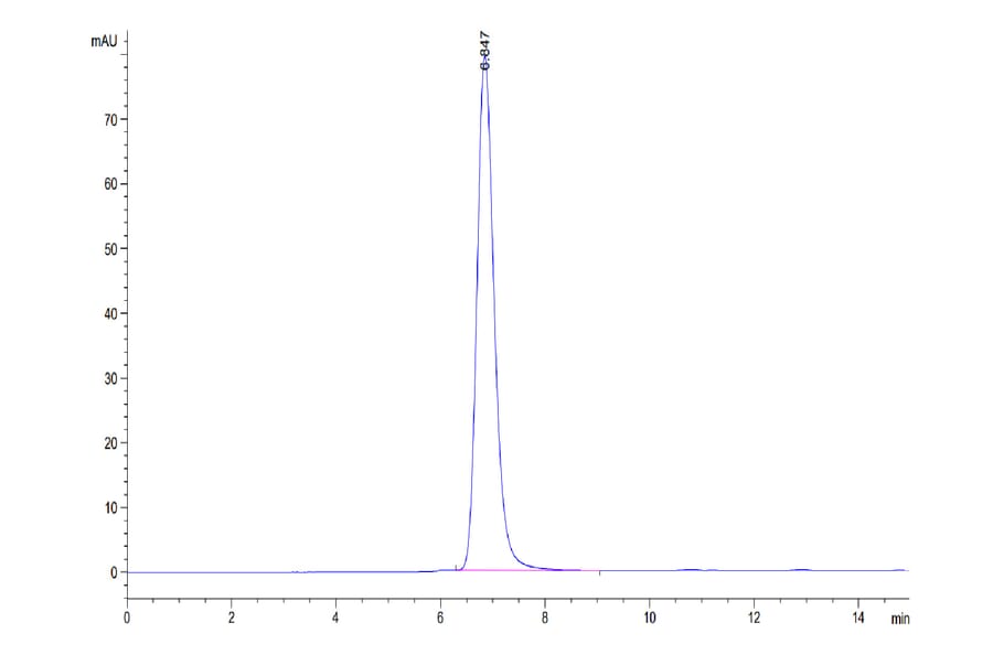 SEC-HPLC - Recombinant Human CTLA4 Protein (C-terminal Human Fc Tag) (A330493) - Antibodies.com
