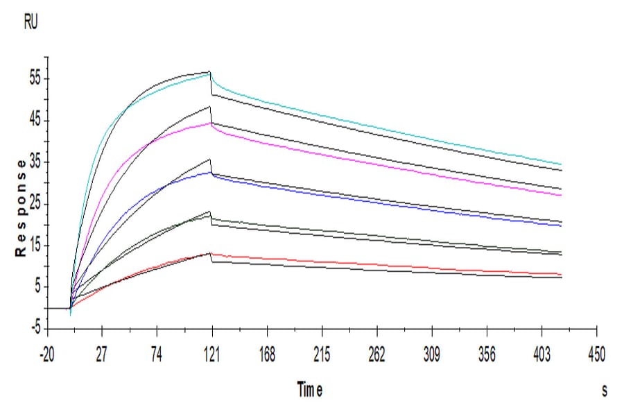 SPR Assay - Recombinant Human CTLA4 Protein (C-terminal Human Fc Tag) (A330493) - Antibodies.com