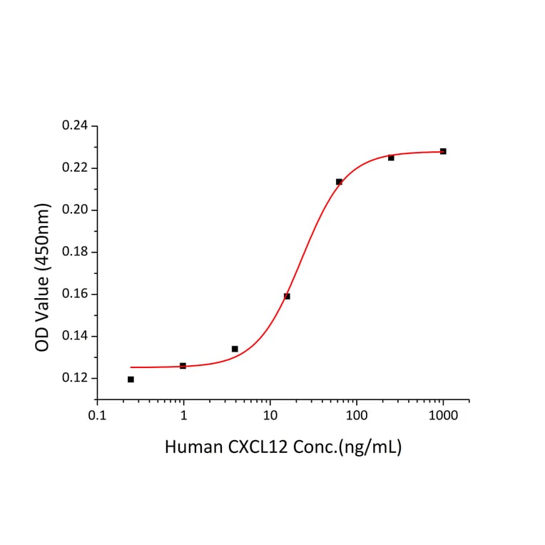 Chemoattraction assay - Recombinant Human CXCL12 Protein (A330500) - Antibodies.com