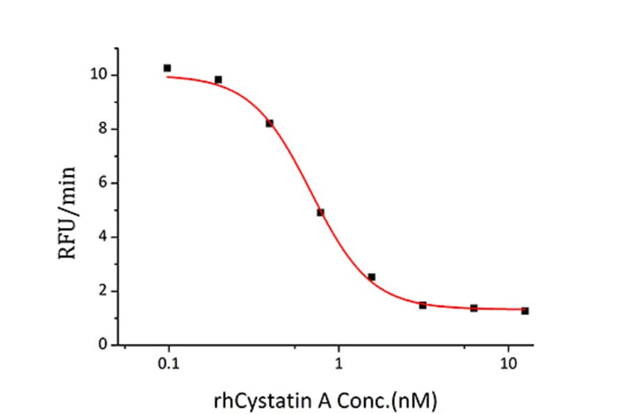 Enzyme inhibition assay - Recombinant Human Cystatin A Protein (C-terminal His Tag) (A330513) - Antibodies.com