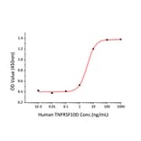 Cytotoxicity inhibition assay - Recombinant Human DcR2 Protein (C-terminal Human Fc and His Tag) (A330520) - Antibodies.com