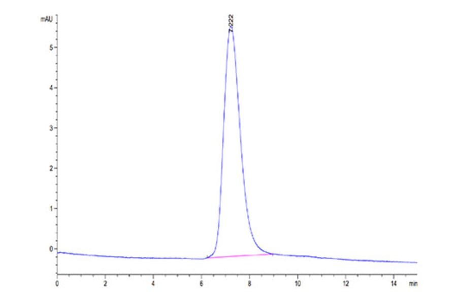 SEC-HPLC - Recombinant Human DcR2 Protein (Biotin) (C-terminal His and Avi Tag) (A330521) - Antibodies.com