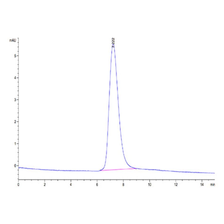 SEC-HPLC - Recombinant Human DcR2 Protein (Biotin) (C-terminal His and Avi Tag) (A330521) - Antibodies.com