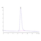 SEC-HPLC - Recombinant Human DcR2 Protein (Biotin) (C-terminal His and Avi Tag) (A330521) - Antibodies.com