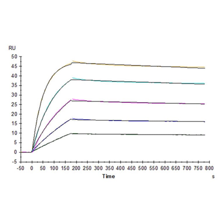 SPR Assay - Recombinant Human DcR2 Protein (Biotin) (C-terminal His and Avi Tag) (A330521) - Antibodies.com