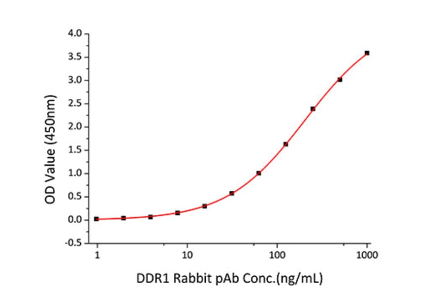 Standard Curve - Recombinant Human DDR1 Protein (C-terminal His Tag) (A330523) - Antibodies.com