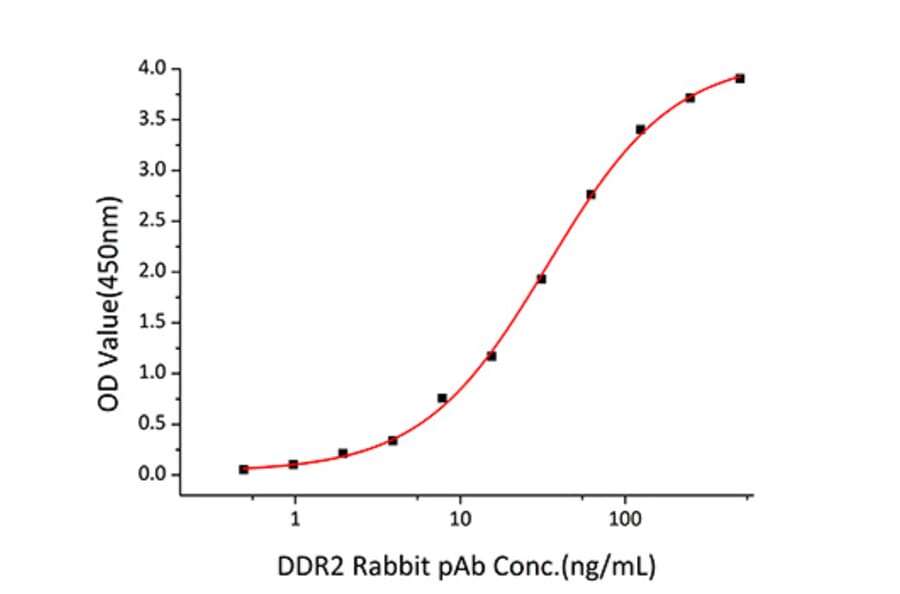 Standard Curve - Recombinant Human DDR2 Protein (C-terminal His Tag) (A330524) - Antibodies.com