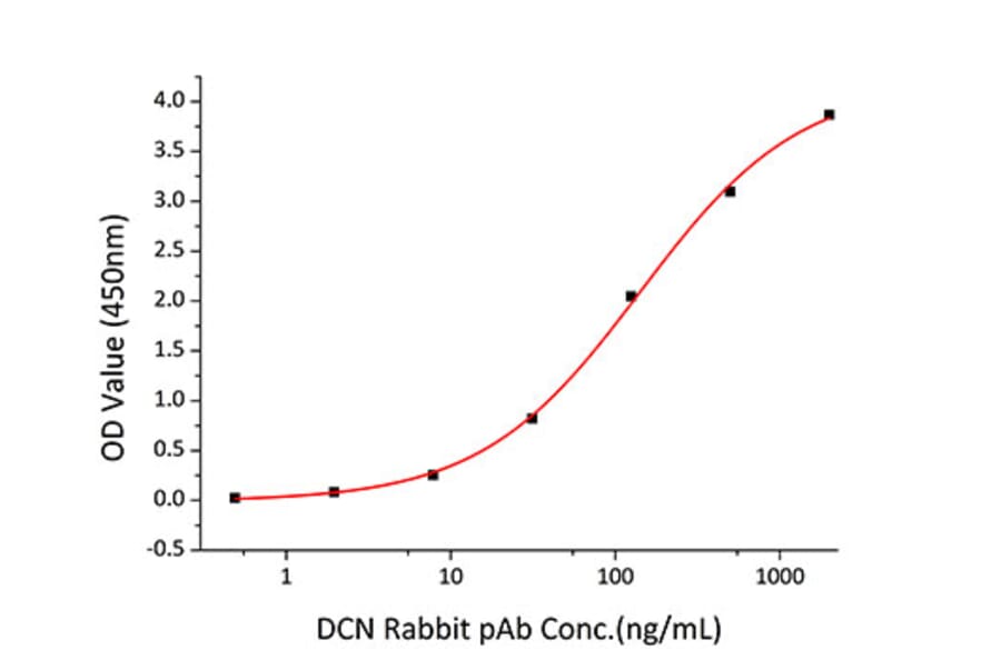 Standard Curve - Recombinant Human Decorin Protein (C-terminal His Tag) (A330526) - Antibodies.com
