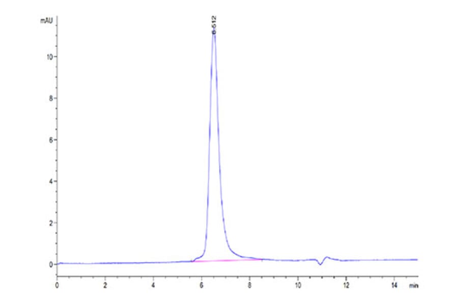 SEC-HPLC - Recombinant Human DKK3 Protein (Biotin) (C-terminal His and Avi Tag) (A330530) - Antibodies.com