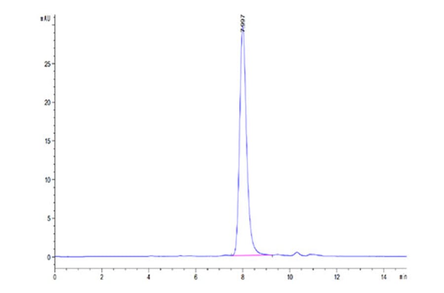 SEC-HPLC - Recombinant Human DLK1 Protein (C-terminal His Tag) (A330533) - Antibodies.com