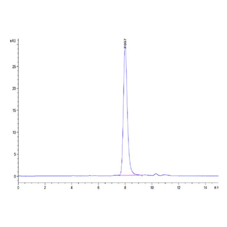 SEC-HPLC - Recombinant Human DLK1 Protein (C-terminal His Tag) (A330533) - Antibodies.com