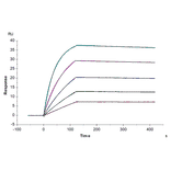 SPR Assay - Recombinant Human DLL3 Protein (N-terminal His Tag) (A330536) - Antibodies.com