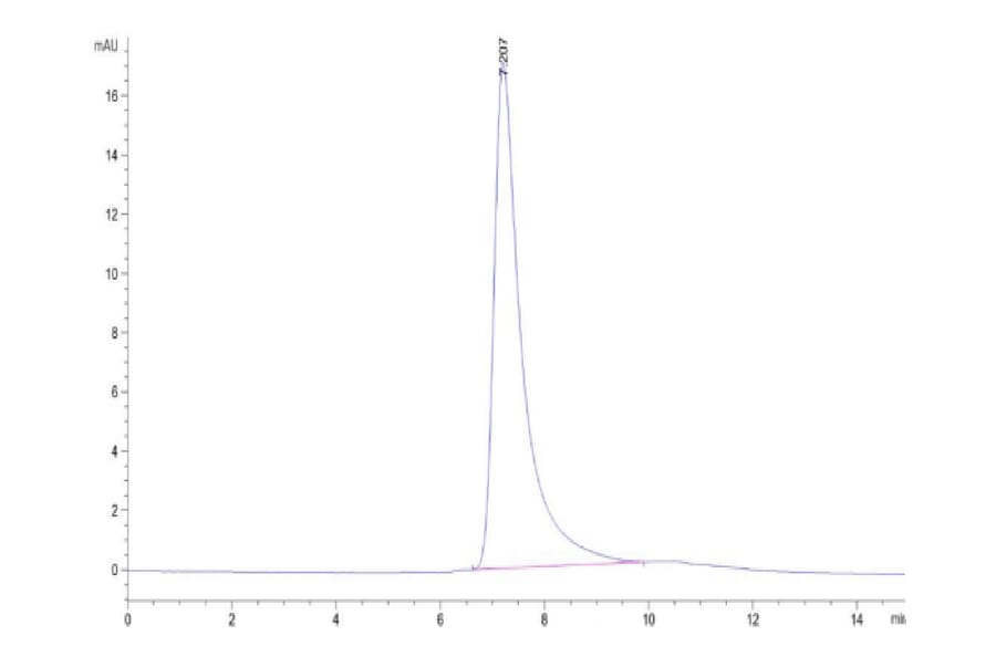 SEC-HPLC - Recombinant Human DLL4 Protein (Biotin) (C-terminal His and Avi Tag) (A330538) - Antibodies.com