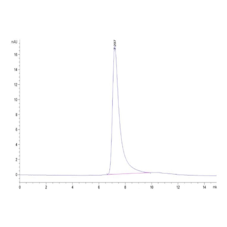 SEC-HPLC - Recombinant Human DLL4 Protein (Biotin) (C-terminal His and Avi Tag) (A330538) - Antibodies.com