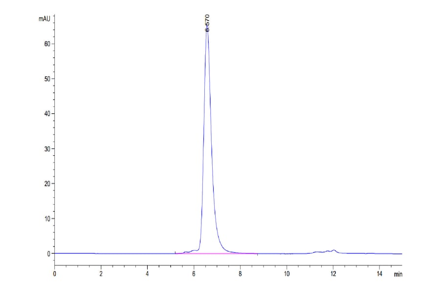 SEC-HPLC - Recombinant Human DLL4 Protein (C-terminal Human Fc Tag) (A330539) - Antibodies.com