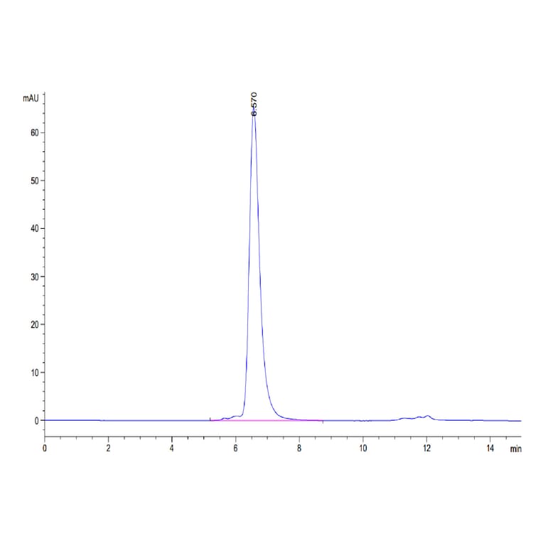 SEC-HPLC - Recombinant Human DLL4 Protein (C-terminal Human Fc Tag) (A330539) - Antibodies.com