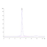 SEC-HPLC - Recombinant Human DLL4 Protein (C-terminal Human Fc Tag) (A330539) - Antibodies.com